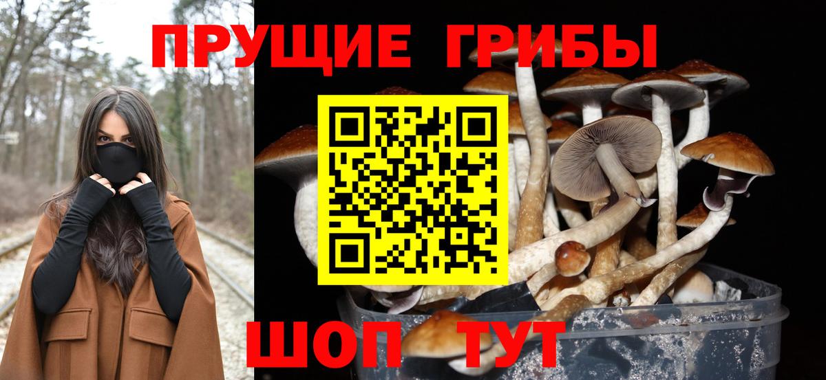 Галлюциногенные грибы мицелий  Вход с VPN  Вязники 